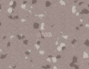 Линолеум Gerflor Taralay Premium Brazilia 4329 Bacabal фото 1 | FLOORDEALER